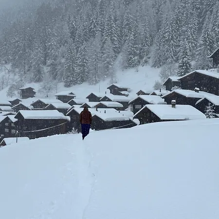 شاليه In Niederwald